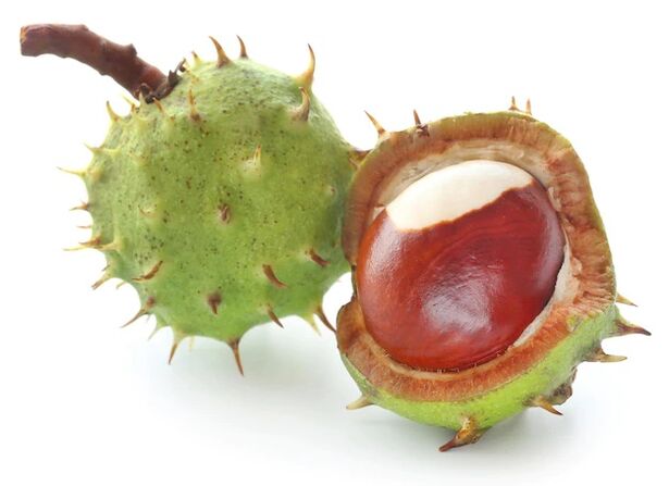 OstyHealth contains horse chestnut